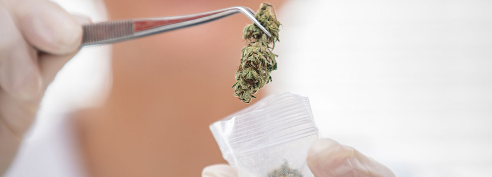 Versorgung optimiert: Kooperation bei medizinischem Cannabis